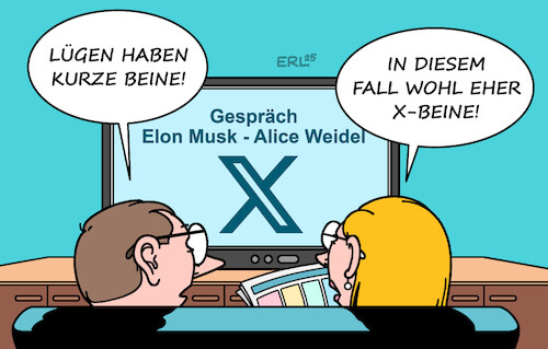 Elon Musk Alice Weidel Elon Musk Alice Weidel