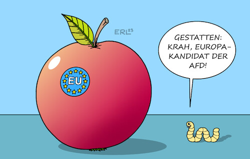 Europakandidat Europakandidat