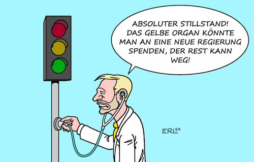 FDP-Diagnose FDP-Diagnose