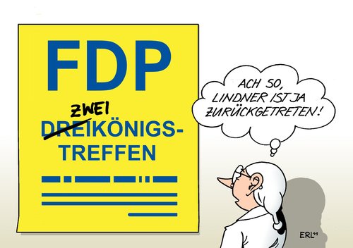 FDP Dreikönigstreffen