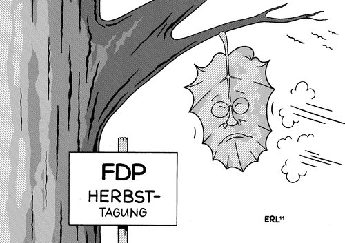 FDP Herbsttagung FDP Herbsttagung