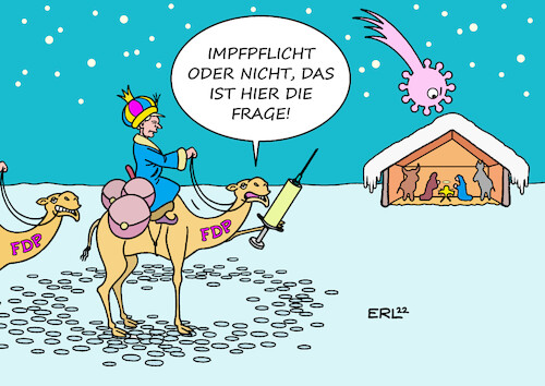 FDP Impfpflicht FDP Impfpflicht
