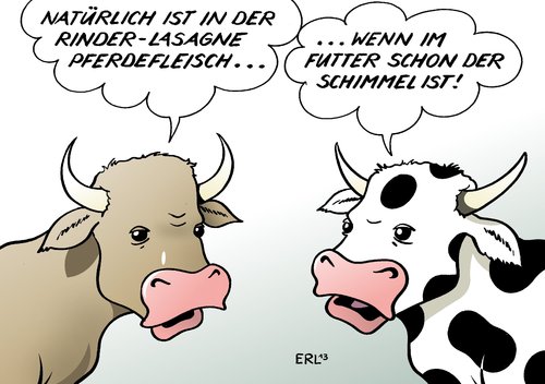Futter Futter