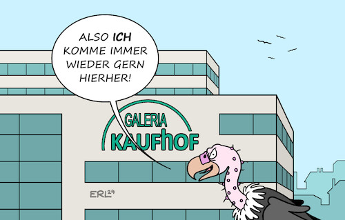 Galeria Galeria