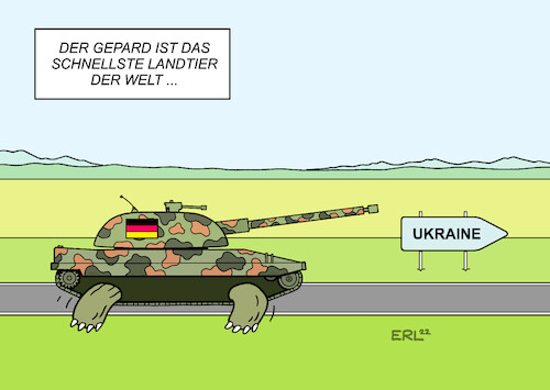 Gepardlieferung Gepardlieferung