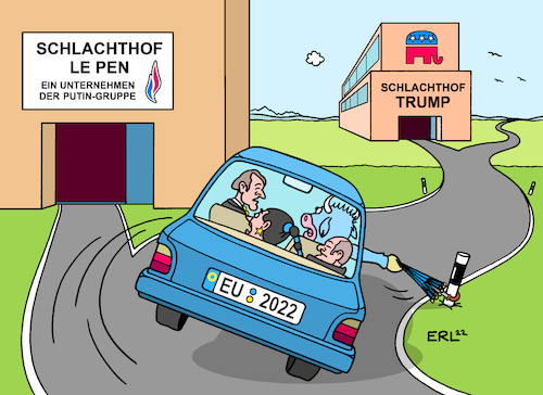 Gerade noch die Kurve gekriegt Gerade noch die Kurve gekriegt