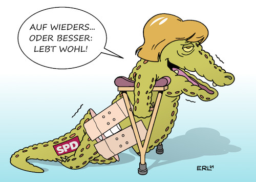 Groko Groko