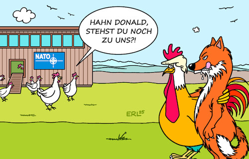 Hahn Donald Hahn Donald