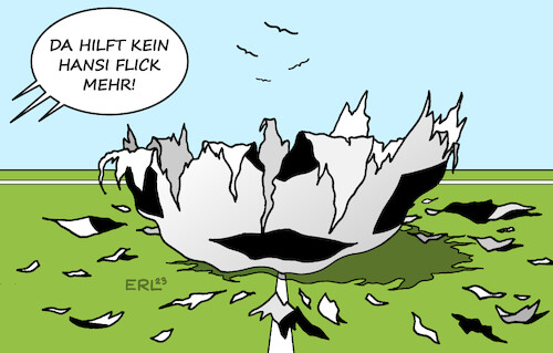 Hansi Flick Hansi Flick