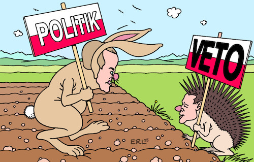 Hase Tusk und Igel Nawrocki Hase Tusk und Igel Nawrocki
