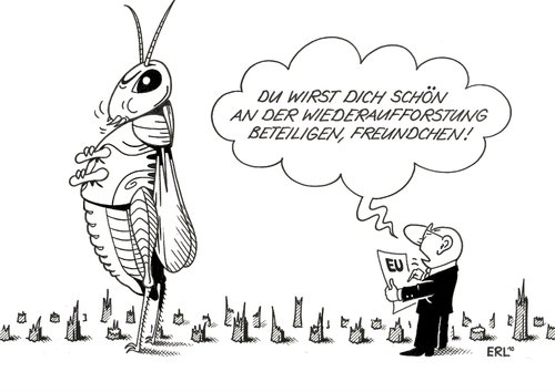 Heuschrecke Heuschrecke