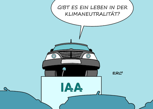IAA II IAA II