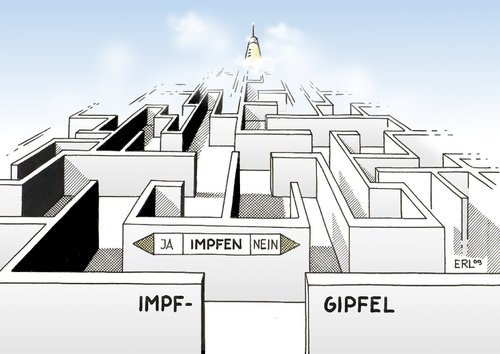 Cartoon: Impfgipfel (medium) by Erl tagged h1n1,schweinegrippe,impfung,verwirrung,gipfel,h1n1,schweinegrippe,impfung,verwirrung,gipfel,virus,gesundheit,impfen,prävention,labyrinth