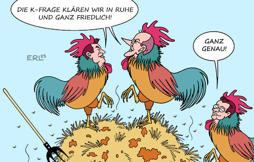 Cartoon: K-Frage (medium) by Erl tagged politik,union,cdu,csu,frage,kanzlerkandidat,bundestagswahl,kanzler,bundeskanzler,friedrich,merz,klärung,ruhig,friedlich,markus,söder,hendrik,wüst,hahn,hähne,gockel,mist,alphatiere,kampfhähne,karikatur,erl,politik,union,cdu,csu,frage,kanzlerkandidat,bundestagswahl,kanzler,bundeskanzler,friedrich,merz,klärung,ruhig,friedlich,markus,söder,hendrik,wüst,hahn,hähne,gockel,mist,alphatiere,kampfhähne,karikatur,erl