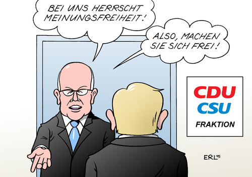 Kauder Kauder
