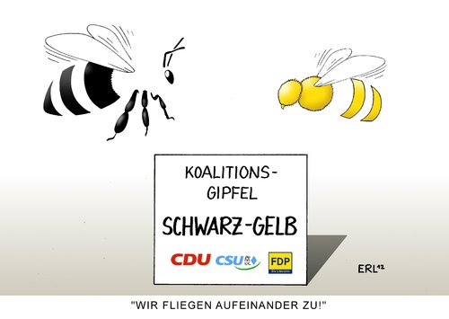 Cartoon: Koalitionsgipfel (medium) by Erl tagged regierung,koalition,schwart,gelb,cdu,csu,fdp,streit,meinungsverschiedenheit,gipfel,harmonie,aufeinander,zugehen,biene,fliegen,regierung,koalition,meinungsverschiedenheit,harmonie,gipfel,fdp,csu,cdu