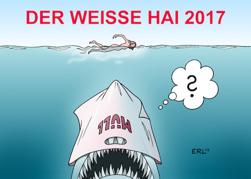 Meeresmüll Meeresmüll