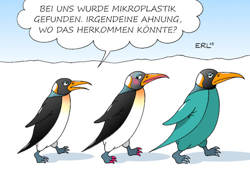 Cartoon: Mikroplastik Antarktis (medium) by Erl tagged politik,antarktis,funde,mikroplastik,greenpeace,umwelt,umweltschutz,umweltverschmutzung,meer,meere,plastik,plastikmüll,abrieb,fischernetze,waschen,synthetisch,kleidung,textilien,kosmetik,pinguin,pinguine,frack,eis,schnee,kälte,karikatur,erl,politik,antarktis,funde,mikroplastik,greenpeace,umwelt,umweltschutz,umweltverschmutzung,meer,meere,plastik,plastikmüll,abrieb,fischernetze,waschen,synthetisch,kleidung,textilien,kosmetik,pinguin,pinguine,frack,eis,schnee,kälte,karikatur,erl