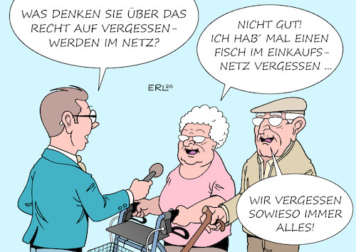 Netz Netz