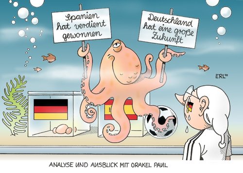 Orakel Paul Orakel Paul
