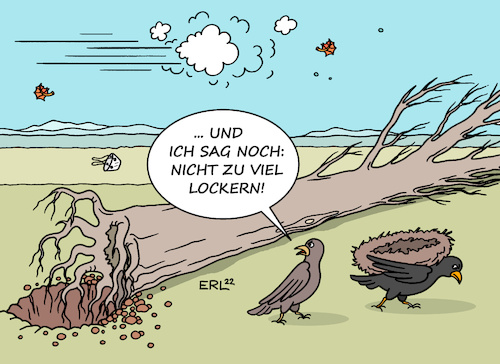 Orkantief Orkantief