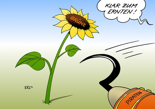 Piraten Grüne Piraten Grüne