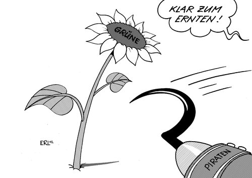 Piraten Grüne Piraten Grüne