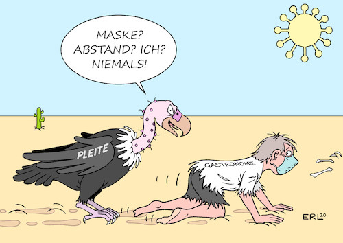Pleitegeier Pleitegeier