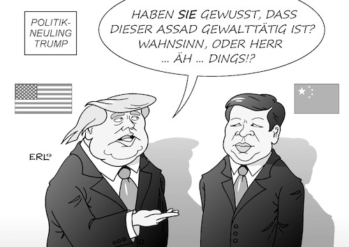 Politik-Neuling Trump