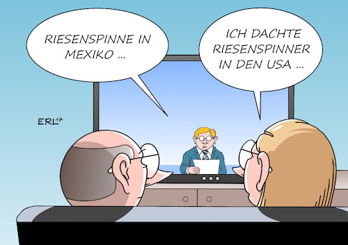 Riesenspinne Riesenspinne
