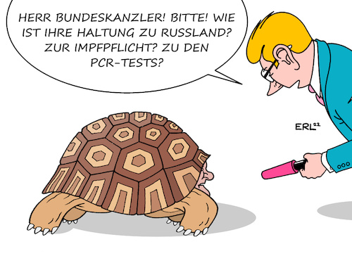 Scholz Scholz