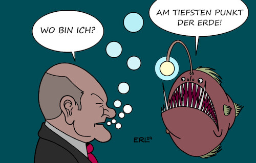 Scholz Scholz