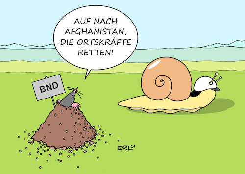 so oder so ähnlich so oder so ähnlich