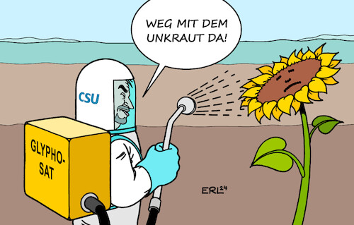 Söder und die Grünen Söder und die Grünen