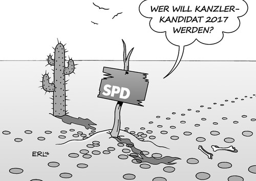 SPD Kanzlerkandidat