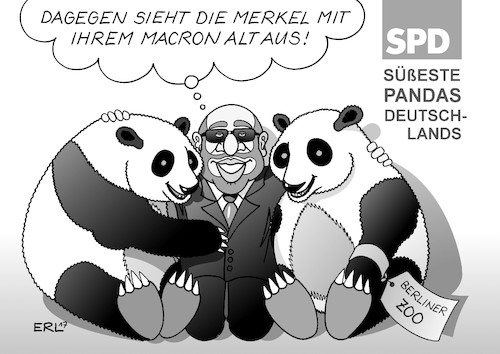 SPD Pandas