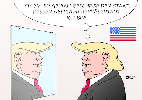 Stabiles Genie Stabiles Genie