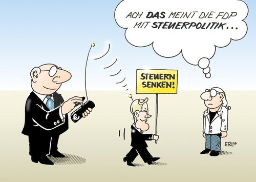 Steuerpolitik Steuerpolitik