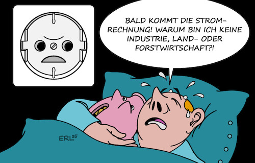 Cartoon: Stromsteuer (medium) by Erl tagged politik,regierung,senkung,stromsteuer,industrie,landwirtschaft,forstwirtschaft,stromrechnung,verbraucher,karikatur,erl,politik,regierung,senkung,stromsteuer,industrie,landwirtschaft,forstwirtschaft,stromrechnung,verbraucher,karikatur,erl
