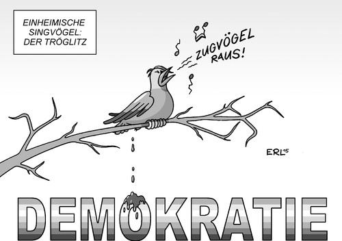 Cartoon: Tröglitz (medium) by Erl tagged tröglitz,brandanschlag,asylbewerberheim,bedrohung,bürgermeister,landrat,rechtsextremismus,ausländerfeindlichekeit,verfassungsfeindlichkeit,npd,singvogel,singvögel,einheimisch,zugvogel,zugvögel,asyl,flüchtlinge,demokratie,bunt,braun