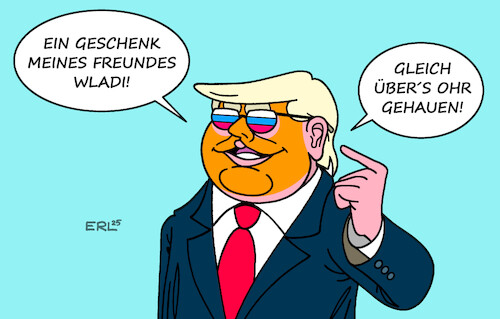 Trump blickt durch Trump blickt durch