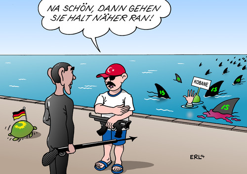 Türkei Kobane Türkei Kobane