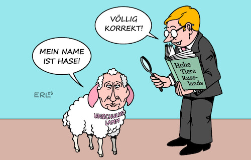 Unschuldslamm Unschuldslamm