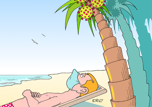 Urlaub unter Palmen Urlaub unter Palmen