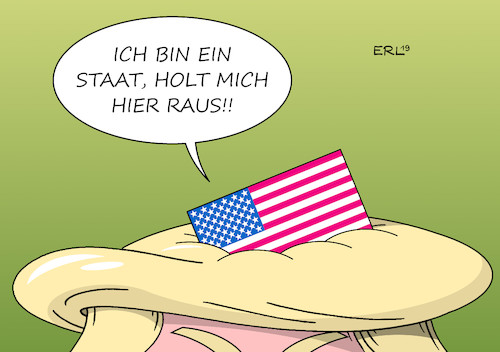 USA USA