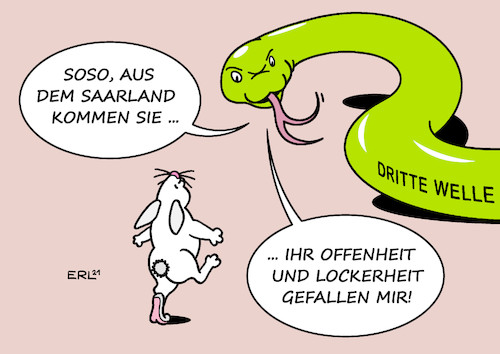 Veruchskaninchen Veruchskaninchen