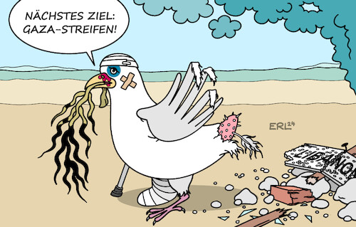 Waffenruhe Waffenruhe