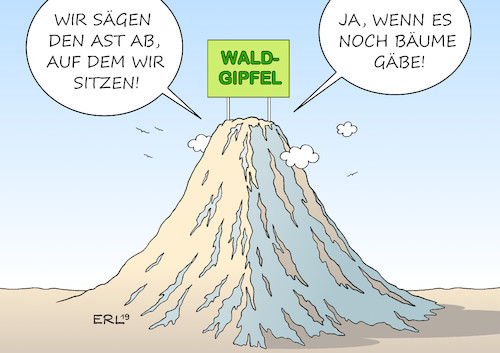 Waldgipfel Waldgipfel