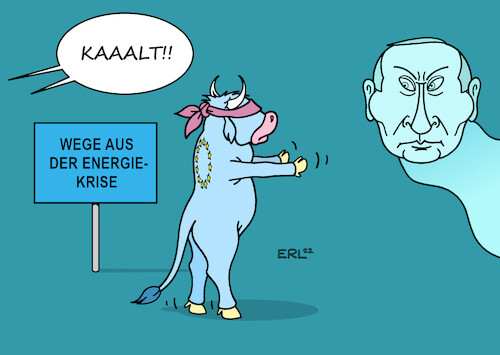 Wege aus der Energiekrise