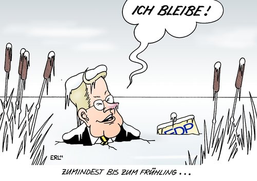 Westerwelle Westerwelle